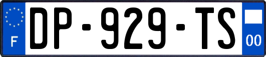 DP-929-TS