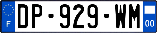 DP-929-WM