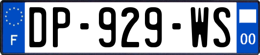 DP-929-WS