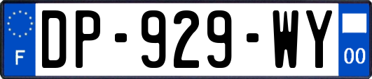 DP-929-WY