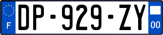 DP-929-ZY