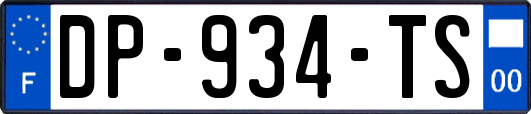DP-934-TS