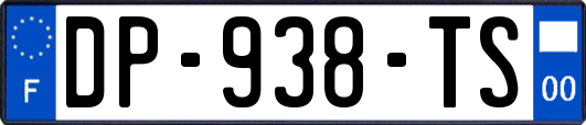 DP-938-TS