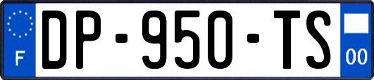 DP-950-TS