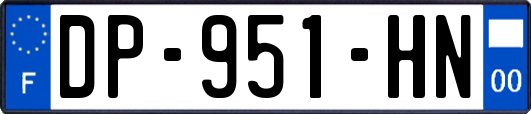 DP-951-HN