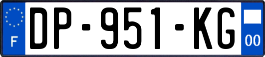DP-951-KG
