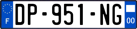 DP-951-NG
