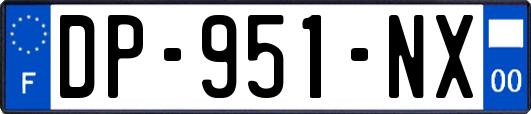 DP-951-NX