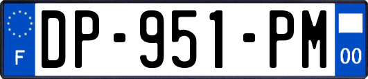 DP-951-PM