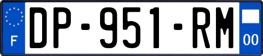 DP-951-RM