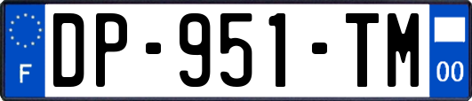 DP-951-TM