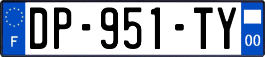DP-951-TY