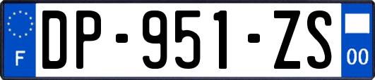 DP-951-ZS