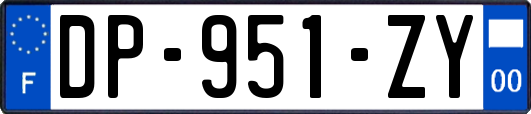 DP-951-ZY