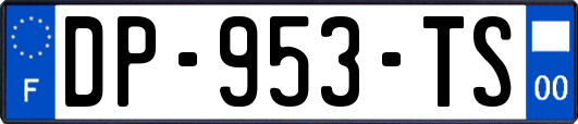 DP-953-TS