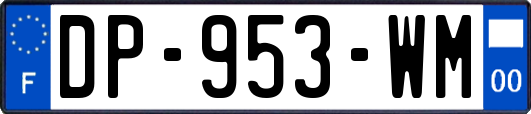 DP-953-WM