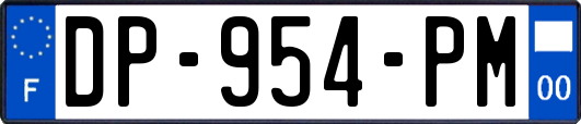 DP-954-PM