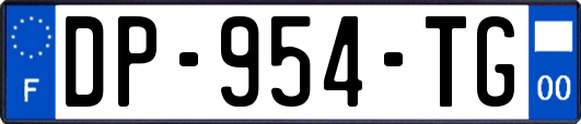 DP-954-TG