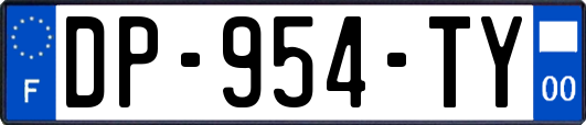 DP-954-TY