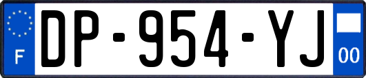 DP-954-YJ