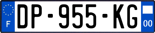 DP-955-KG