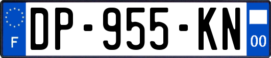 DP-955-KN