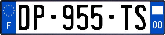 DP-955-TS