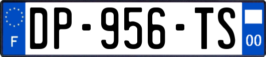 DP-956-TS