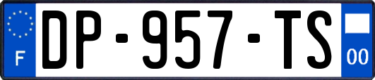 DP-957-TS