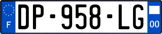 DP-958-LG