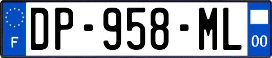 DP-958-ML