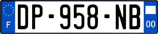 DP-958-NB