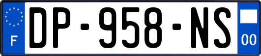 DP-958-NS