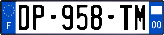 DP-958-TM