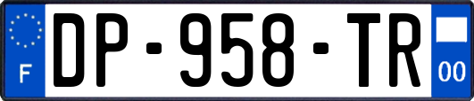 DP-958-TR