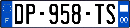 DP-958-TS