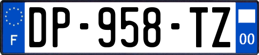 DP-958-TZ