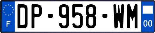 DP-958-WM