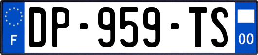 DP-959-TS