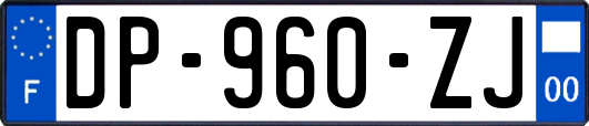 DP-960-ZJ