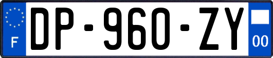 DP-960-ZY