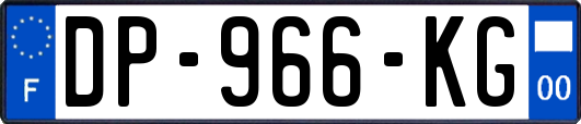 DP-966-KG