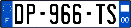 DP-966-TS