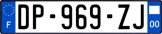 DP-969-ZJ