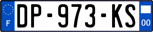 DP-973-KS