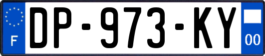 DP-973-KY