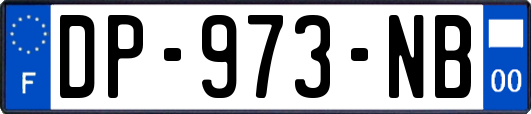 DP-973-NB