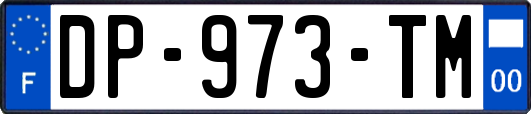DP-973-TM