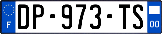 DP-973-TS