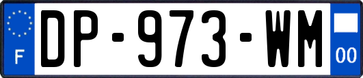 DP-973-WM